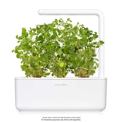 Click & Grow Oregano Plant Pods