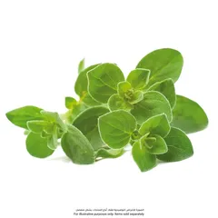 Click & Grow Oregano Plant Pods