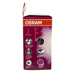 Osram Anti-Bacterial E 27 LED Frosted Light Bulb (8.5 W, Cool White)
