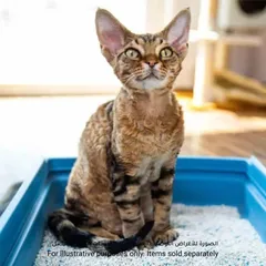 رمل قطط كريستالي لونج فينج (3.8 لتر)