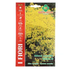 Royal Seeds Alyssum Saxatile Seed Pack