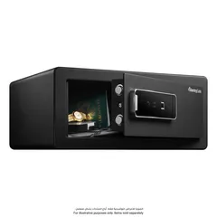 SentrySafe Biometric Security Safe, LX110B (0.0254 cu.m.)