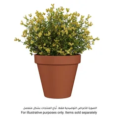 أصيص نباتات أرتيفاسي أماليا (17 × 15.3 سم، تيراكوتا)