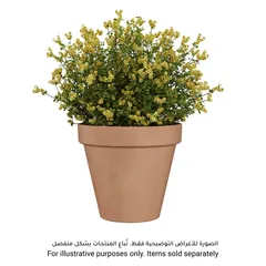 أصيص نباتات أرتيفاسي أماليا (11 × 9.9 سم، عتيق)