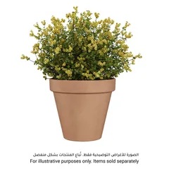 أصيص نباتات أرتيفاسي أماليا (31 × 27 سم، عتيق)