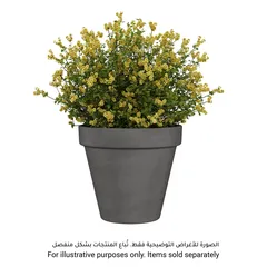 Artevasi Amalia Plant Pot (23 x 20.6 cm, Vulcano)