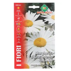 Royal Seeds Oxeye Daisy Seed Pack