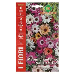 Royal Seeds Mesembryanthemum Seed Pack