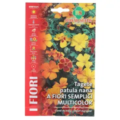 Royal Seeds Dwarf Marigold Seed Pack