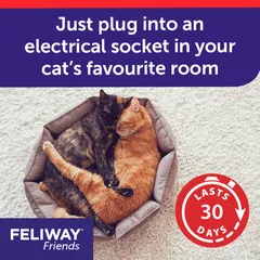 Feliway Friends Cat Diffuser + Refill (48 ml)