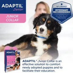 Adaptil Junior Calming Dog Collar