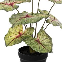 Artificial Caladium Plant W/Pot (34 x 41 cm)