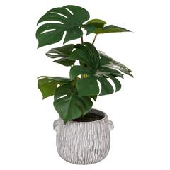 Artificial Monstera Plant W/Pot (28 x 35 cm)