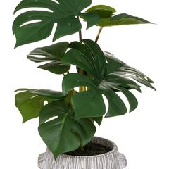 Artificial Monstera Plant W/Pot (28 x 35 cm)