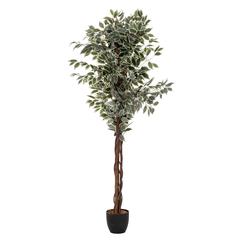 Artificial Bicolored Ficus Plant W/Pot (70 x 180 cm)
