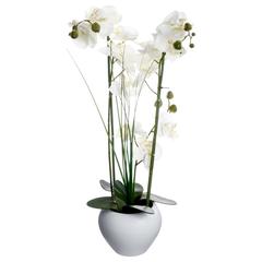 Artificial Orchid Plant W/Pot (38 x 38 x 53 cm)