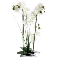 Artificial Orchid Plant W/Pot (38 x 38 x 53 cm)