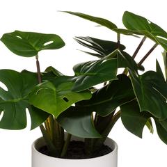 Artificial Monstera Plant W/Pot (30 x 28 cm)