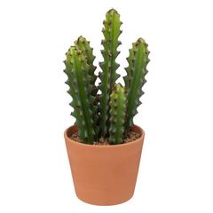 نبات صبار اصطناعي مع أصيص (12 × 30 سم)