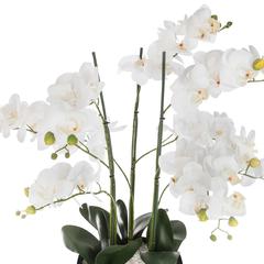 Artificial Orchid Plant W/Pot (54 x 65 cm)