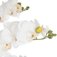Artificial Orchid Plant W/Pot (45 x 45 x 61.5 cm)