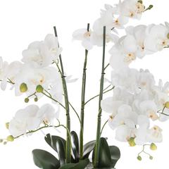 Artificial Orchid Plant W/Pot (45 x 45 x 61.5 cm)