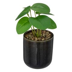Artificial Plant W/Pot (9 x 16 cm)