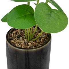 Artificial Plant W/Pot (9 x 16 cm)
