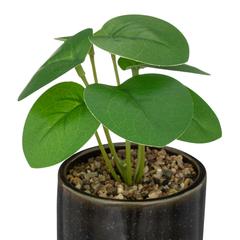 Artificial Plant W/Pot (9 x 16 cm)