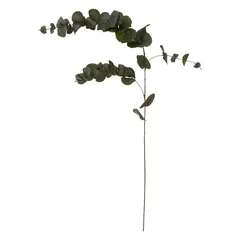 Atmosphera Decorative PE Eucalyptus Stem (12 x 12 x 118 cm)