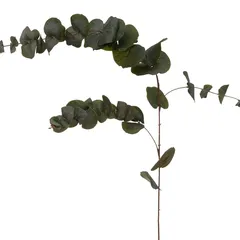 Atmosphera Decorative PE Eucalyptus Stem (12 x 12 x 118 cm)