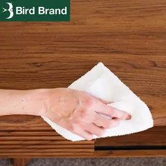 Bird Brand Turpentine Substitute (750 ml)