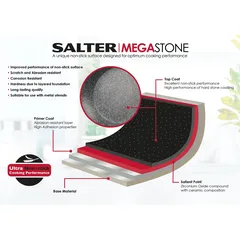 Salter Megastone Aluminum Fry Pan (20 cm)