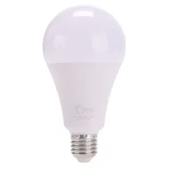 Levin E27 LED A-Type Light Bulb (20 W, Warm White)
