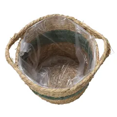 Hayden Swirl Basket Planter (18 x 16 cm, Green)