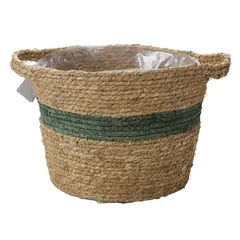 Hayden Swirl Basket Planter (25 x 24 cm, Green)