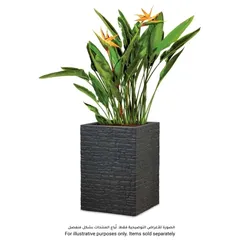 Scheurich Muretto High Plastic Plant Pot (38 x 38 x 54 cm, Anthracite)