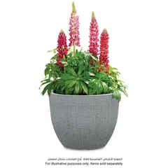 Scheurich Barceo Plastic Plant Pot (29 x 22 cm, Gray)
