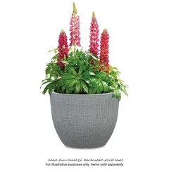 Scheurich Barceo Plastic Plant Pot (39 x 30 cm, Gray)