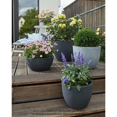 Scheurich Barceo Plastic Plant Pot (47 x 36.1 cm, Gray)