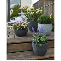 Scheurich Barceo Plastic Plant Pot (39 x 30 cm, Anthracite)