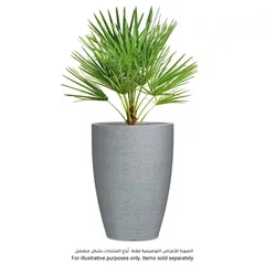 أصيص نباتات طويل بلاستيك شوريك بارسيو (39 × 54 سم، رمادي)