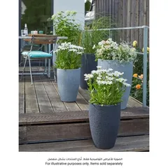 أصيص نباتات طويل بلاستيك شوريك بارسيو (39 × 54 سم، رمادي)