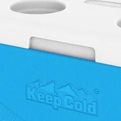 Cosmoplast KeepCold Picnic Icebox (24 L, Blue)