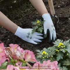 Verve Latex-Coated Polyester Gardening Gloves (Small, White & Dark Green)
