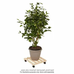 Diall Pine Wood Roller (35 x 35 cm)