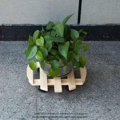 قاعدة خشب صنوبر بعجلات ديال (80 كجم ، 35 × 35 سم)