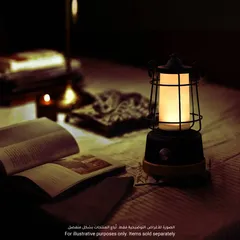 Wild Land Rechargeable Hanging Lantern (12.6 x 12.6 x 24.7 cm)