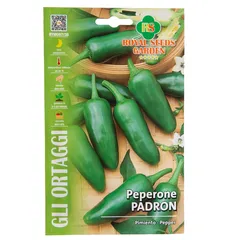 Royal Seeds Padron Pepper Seeds