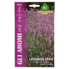 Royal Seeds Lavender Seeds